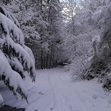 Apartamento Canfranc * 칸프랑크