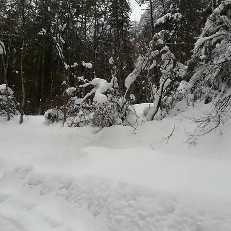 아파트 Apartamento Canfranc 칸프랑크