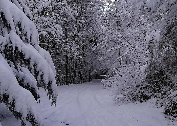 Apartamento Canfranc * Canfranc