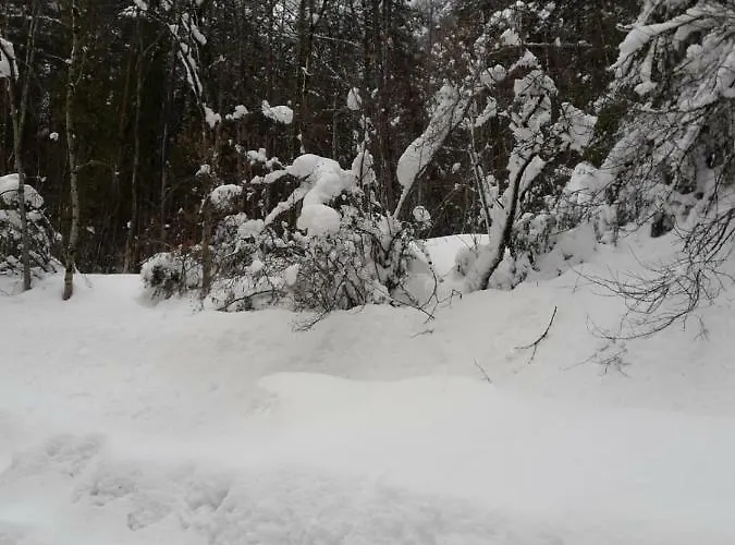 Apartman Apartamento Canfranc Canfranc